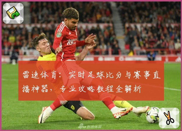 雷速体育：实时足球比分与赛事直播神器，专业攻略教程全解析