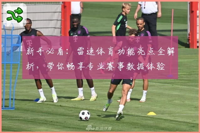 新手必看：雷速体育功能亮点全解析，带你畅享专业赛事数据体验